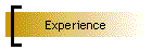 Experience
